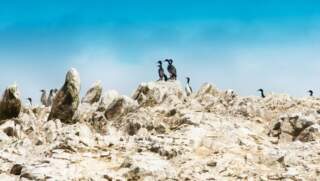 La Reserva Nacional de Paracas, paraíso natural