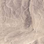 Las teorías científicas sobre los geoglifos de Nazca