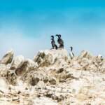 Excursiones a las Islas Ballestas